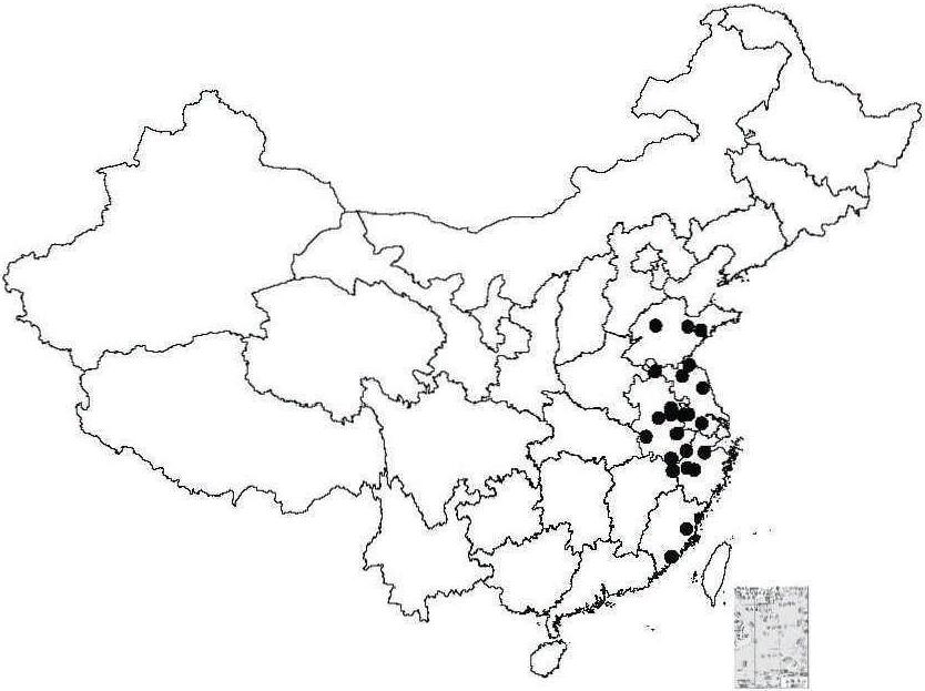 第二节 中国结缕草属植物地下部分分布和形态类型多样性研究